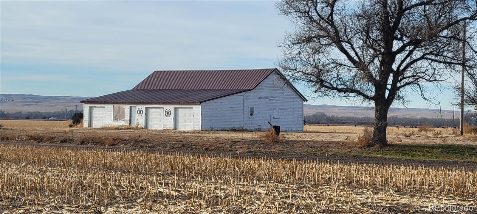 MLS Image #4 for 15140  county road 32 ,ovid, Colorado