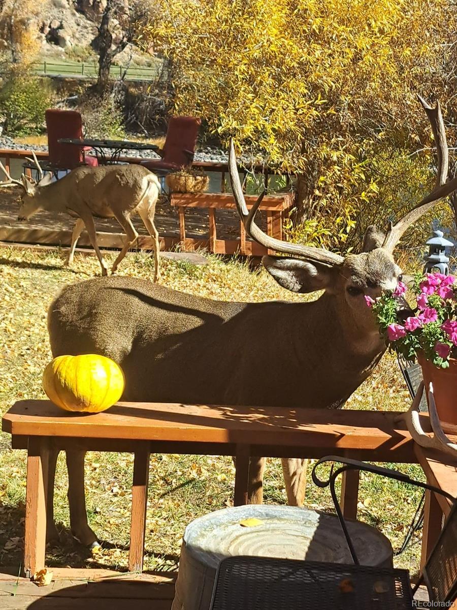 MLS Image #25 for 423  landen drive,south fork, Colorado