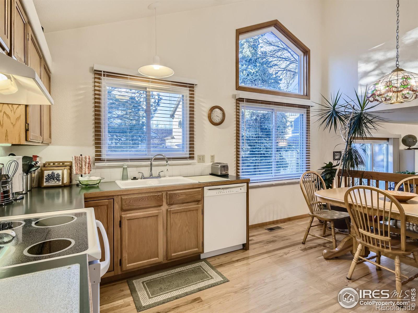 MLS Image #11 for 1805  spencer street,longmont, Colorado