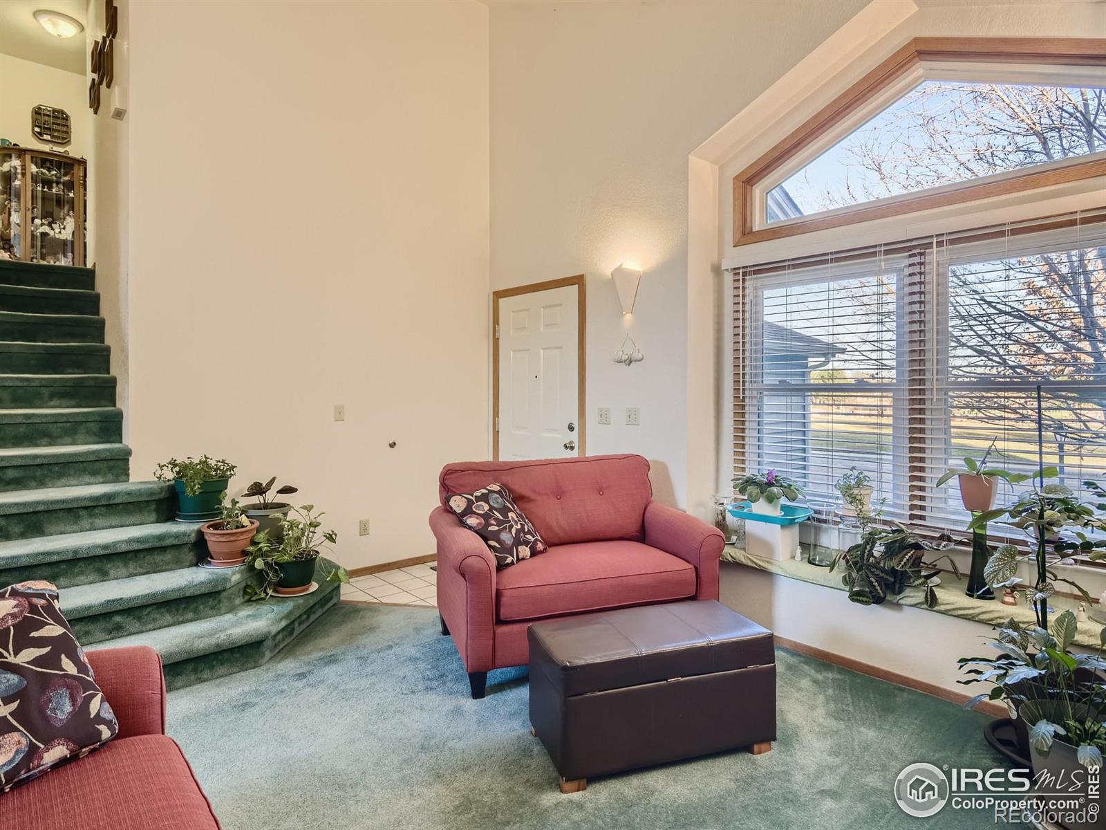 MLS Image #6 for 1805  spencer street,longmont, Colorado