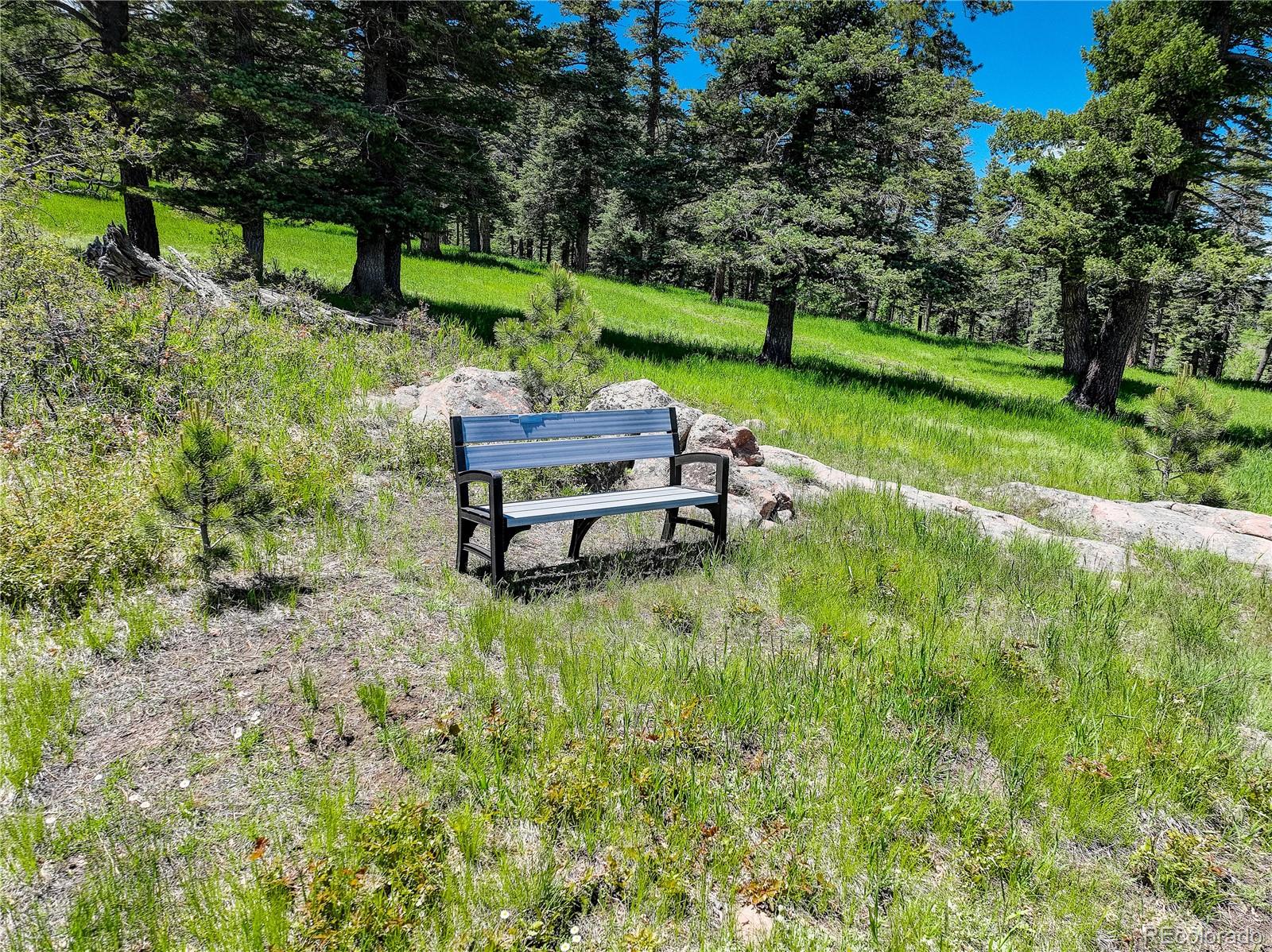 MLS Image #36 for 8585  snowslide trail,rye, Colorado