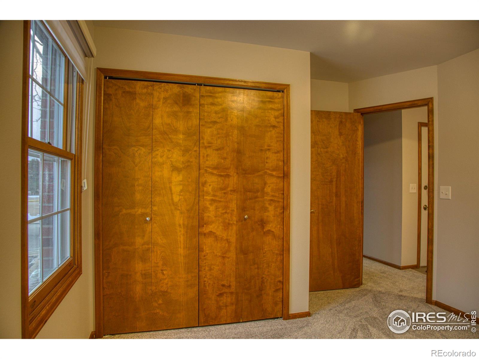 MLS Image #22 for 2600  elmhurst circle,longmont, Colorado