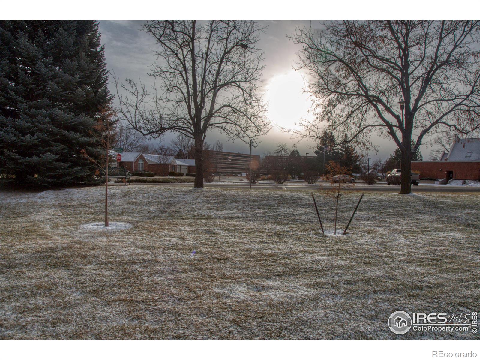 MLS Image #34 for 2600  elmhurst circle,longmont, Colorado