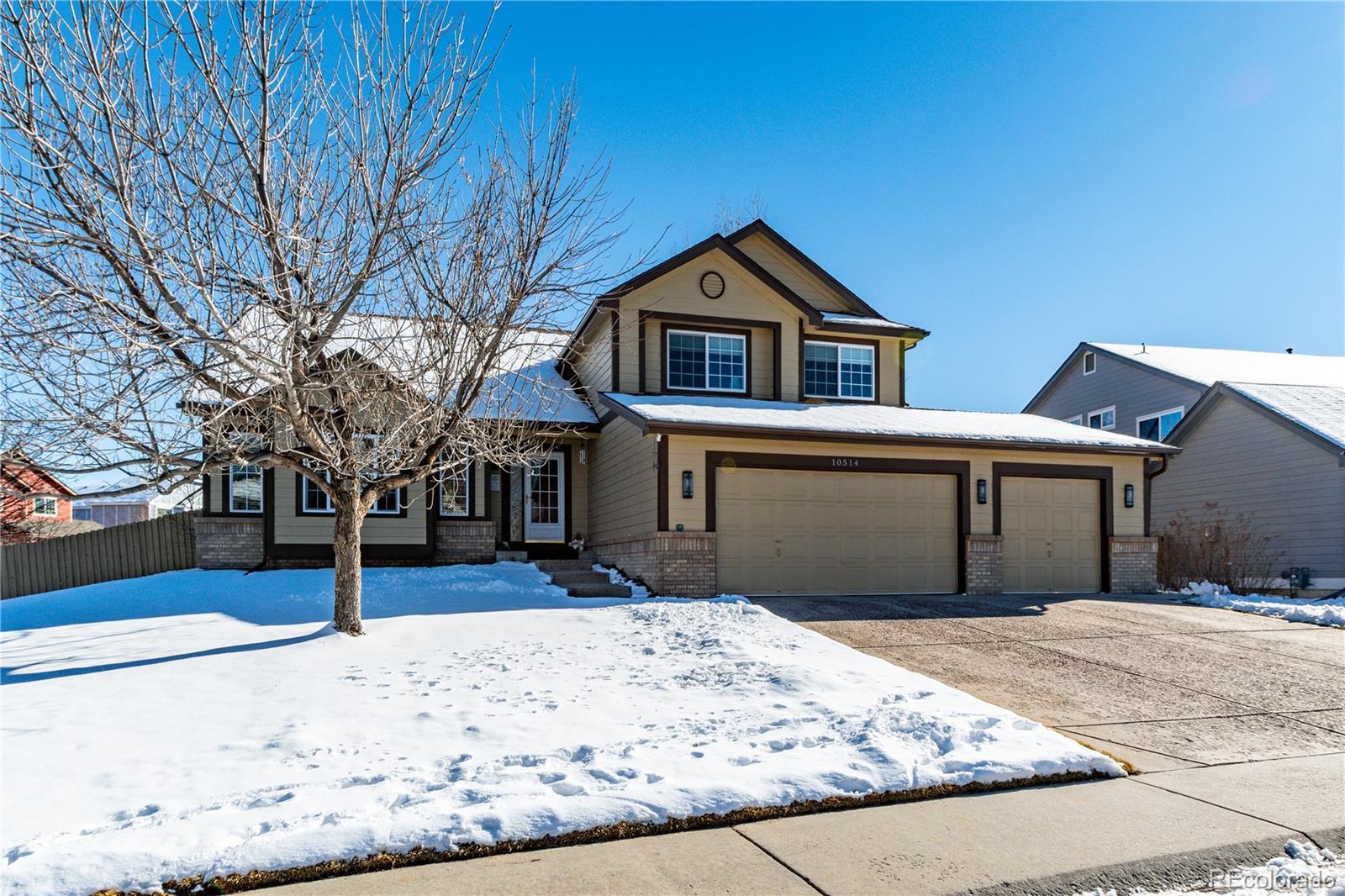 Report Image for 10514  Paxton Court,Parker, Colorado