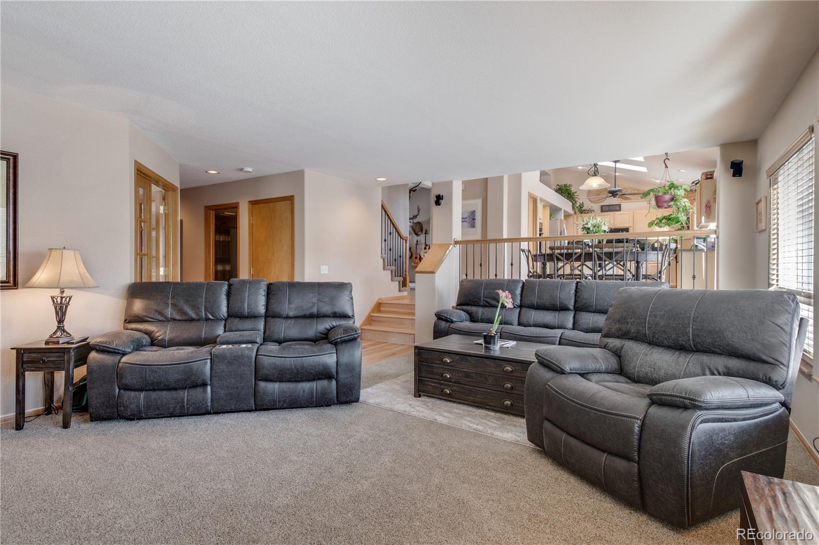 MLS Image #19 for 10514  paxton court,parker, Colorado
