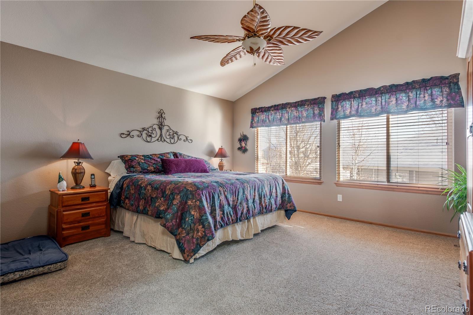 MLS Image #24 for 10514  paxton court,parker, Colorado