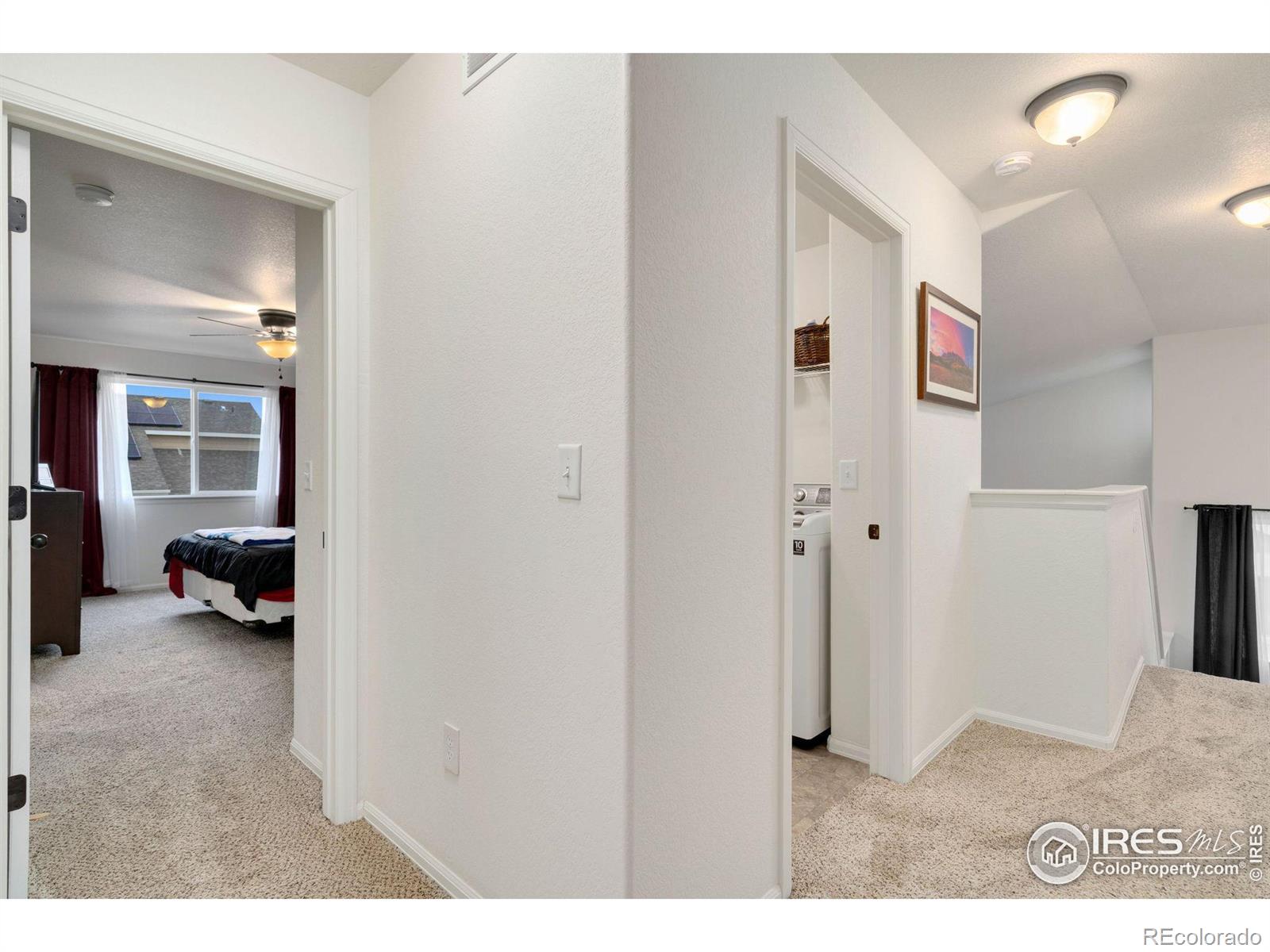 MLS Image #22 for 308  torreys drive,severance, Colorado