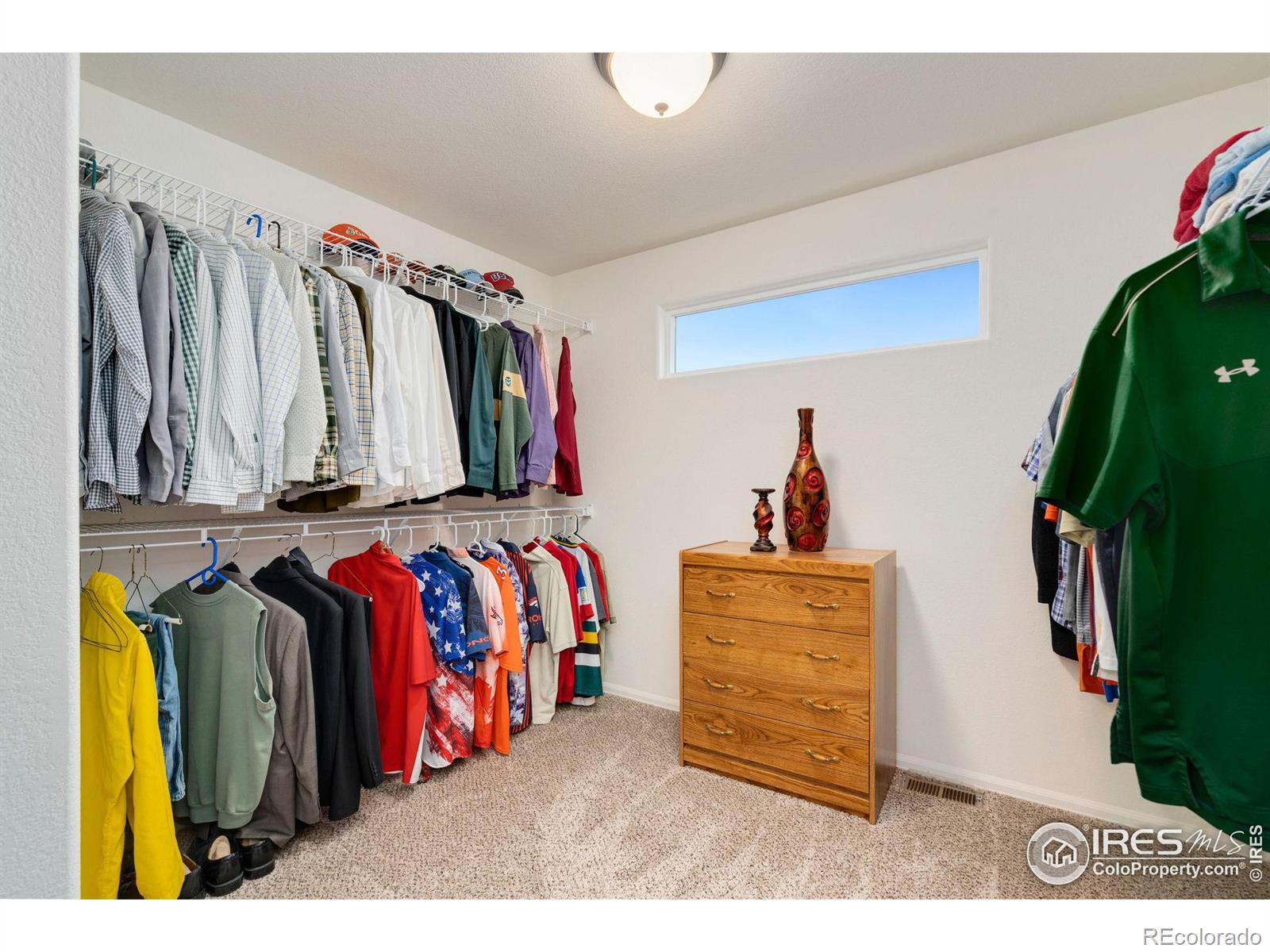 MLS Image #27 for 308  torreys drive,severance, Colorado