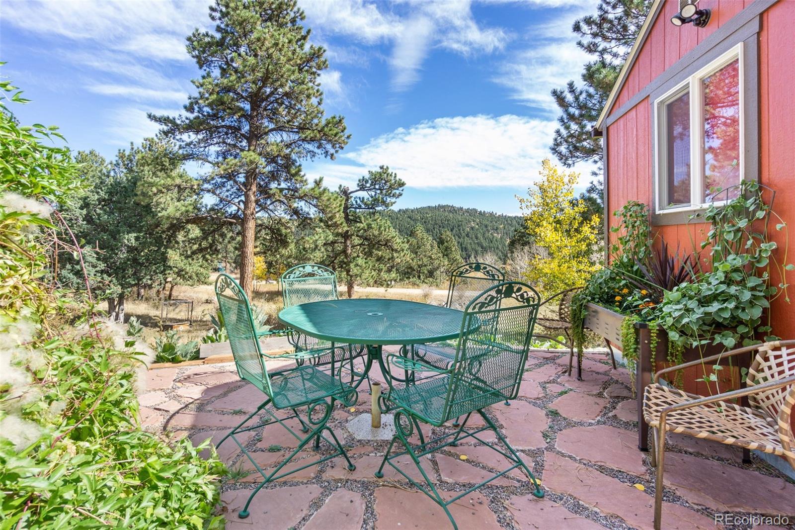 MLS Image #20 for 241  range view drive,bailey, Colorado