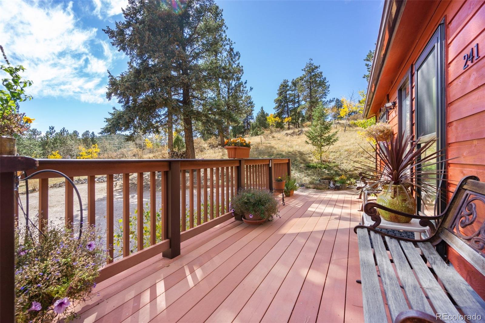 MLS Image #21 for 241  range view drive,bailey, Colorado