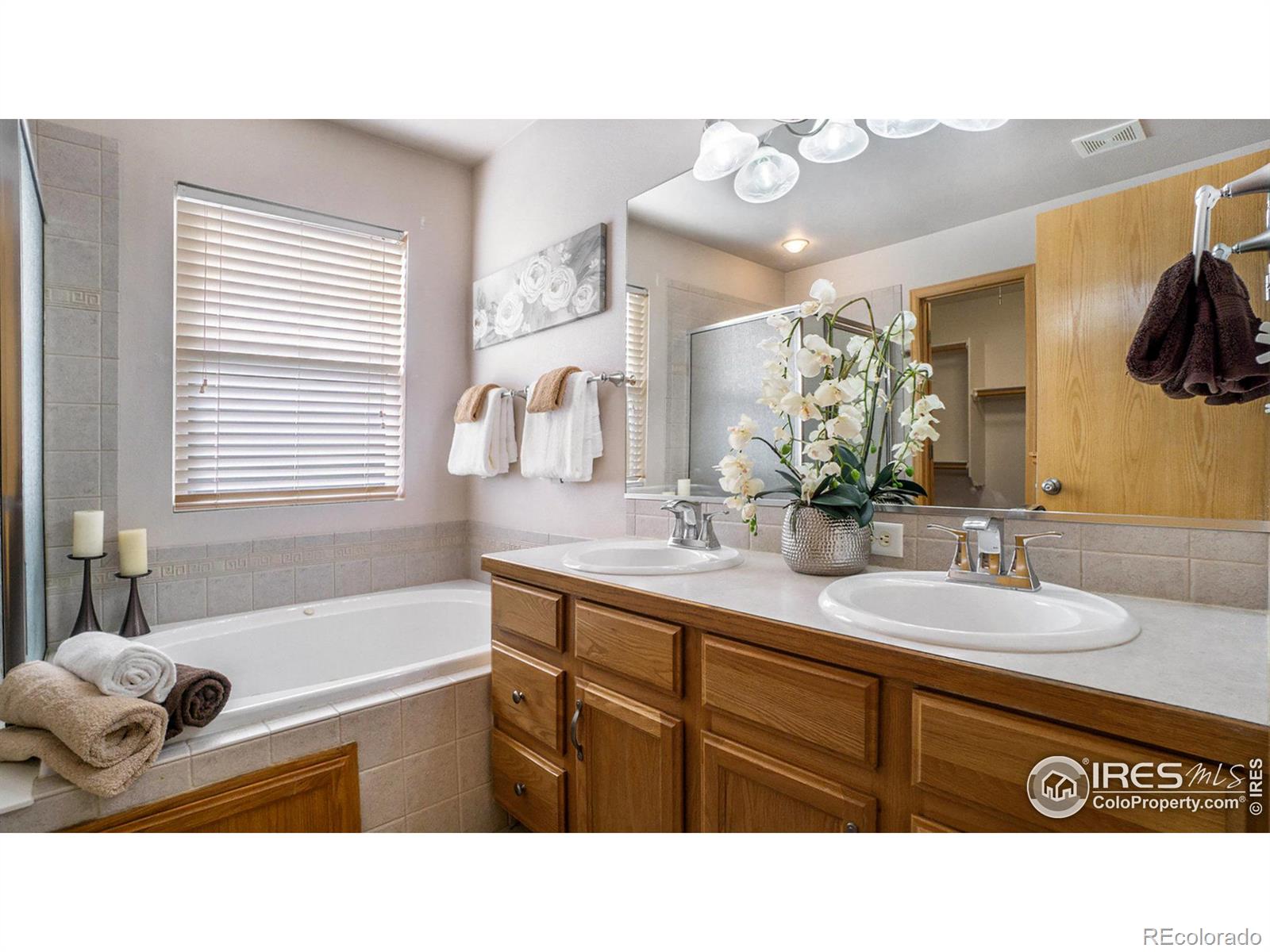 MLS Image #14 for 305  cobble drive,windsor, Colorado