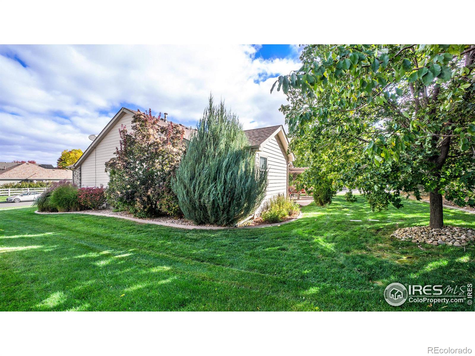 MLS Image #26 for 305  cobble drive,windsor, Colorado