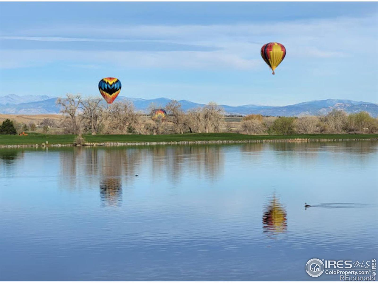 MLS Image #32 for 305  cobble drive,windsor, Colorado