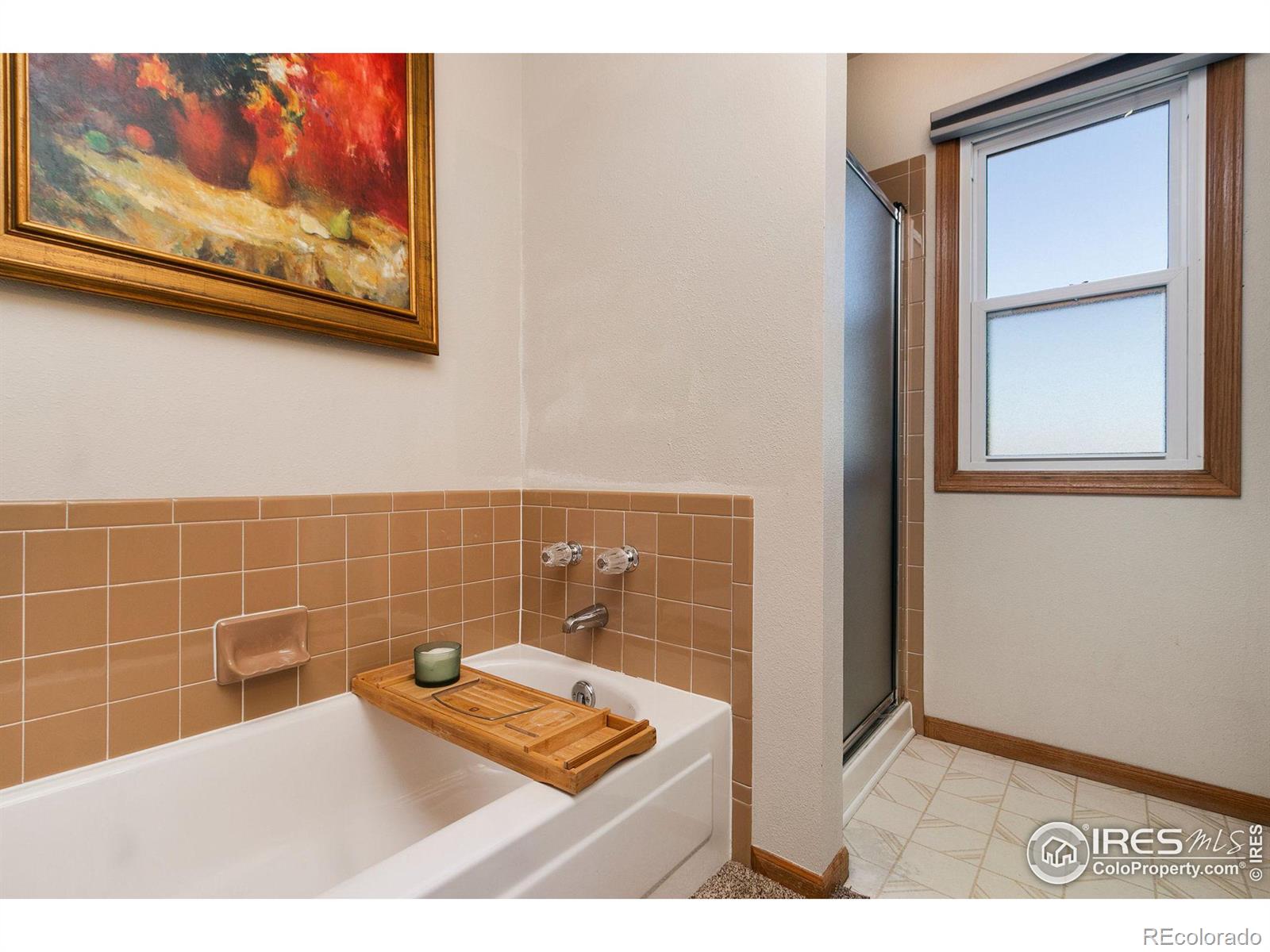 MLS Image #21 for 130  fossil court,fort collins, Colorado