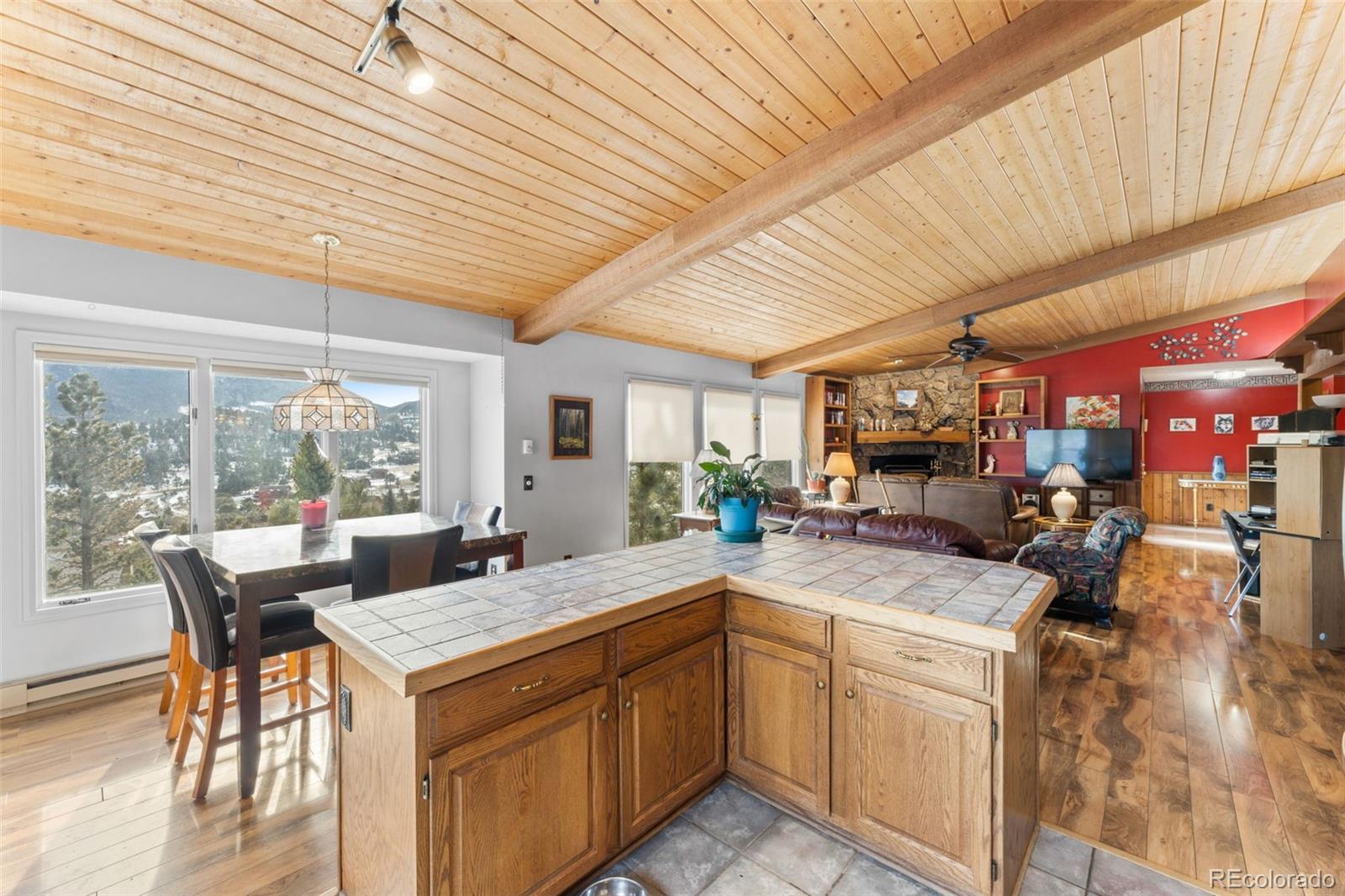 MLS Image #11 for 463  marcus lane,estes park, Colorado