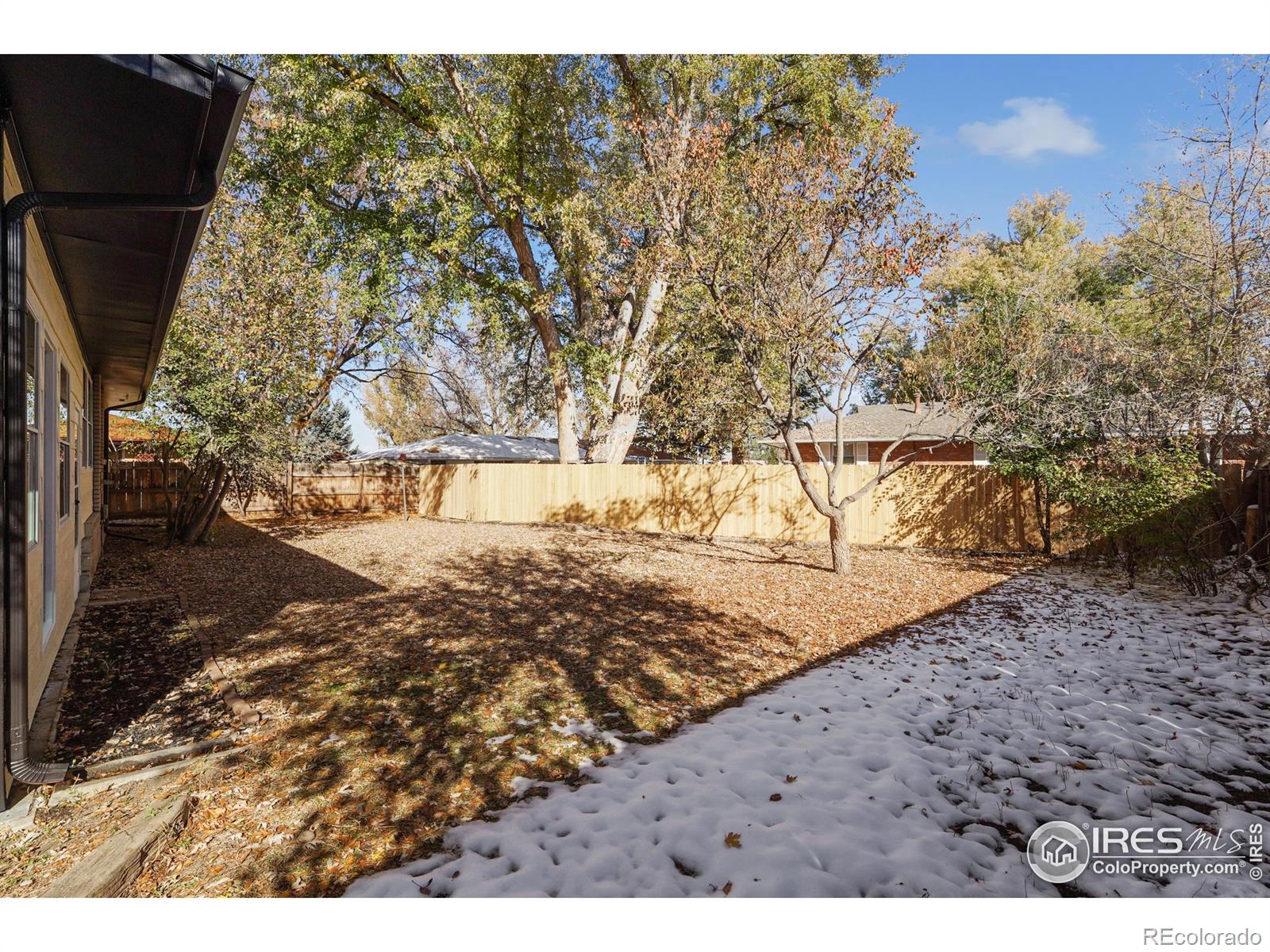 MLS Image #22 for 1228  fordham street,longmont, Colorado