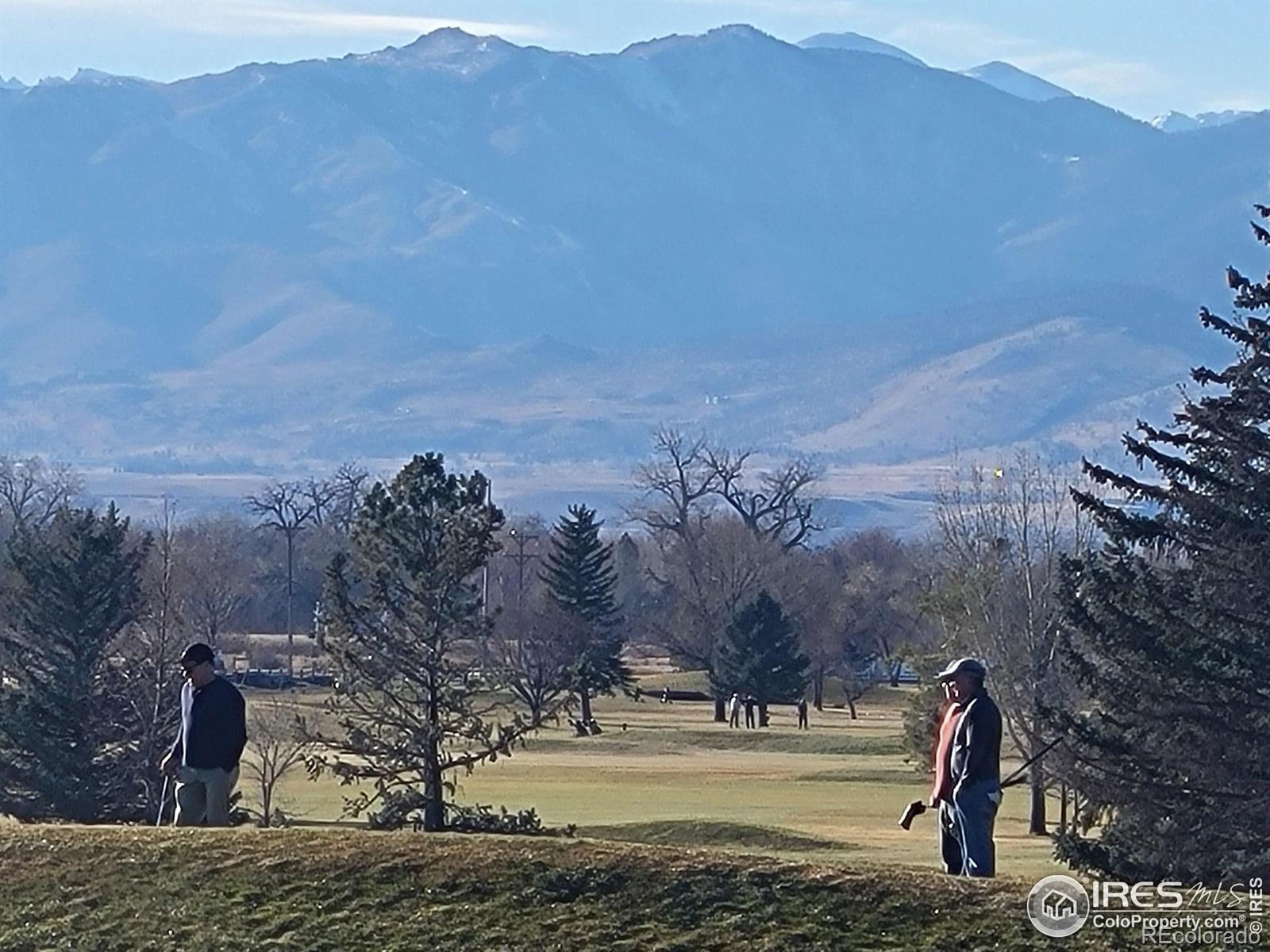 MLS Image #27 for 1228  fordham street,longmont, Colorado