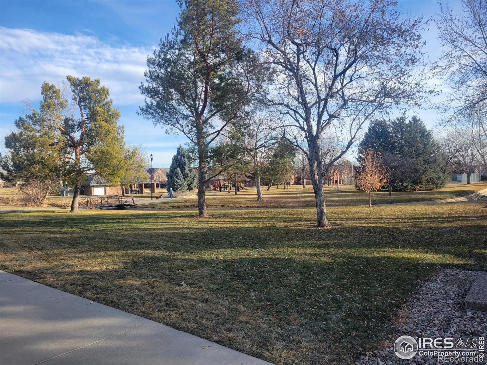 MLS Image #38 for 1228  fordham street,longmont, Colorado