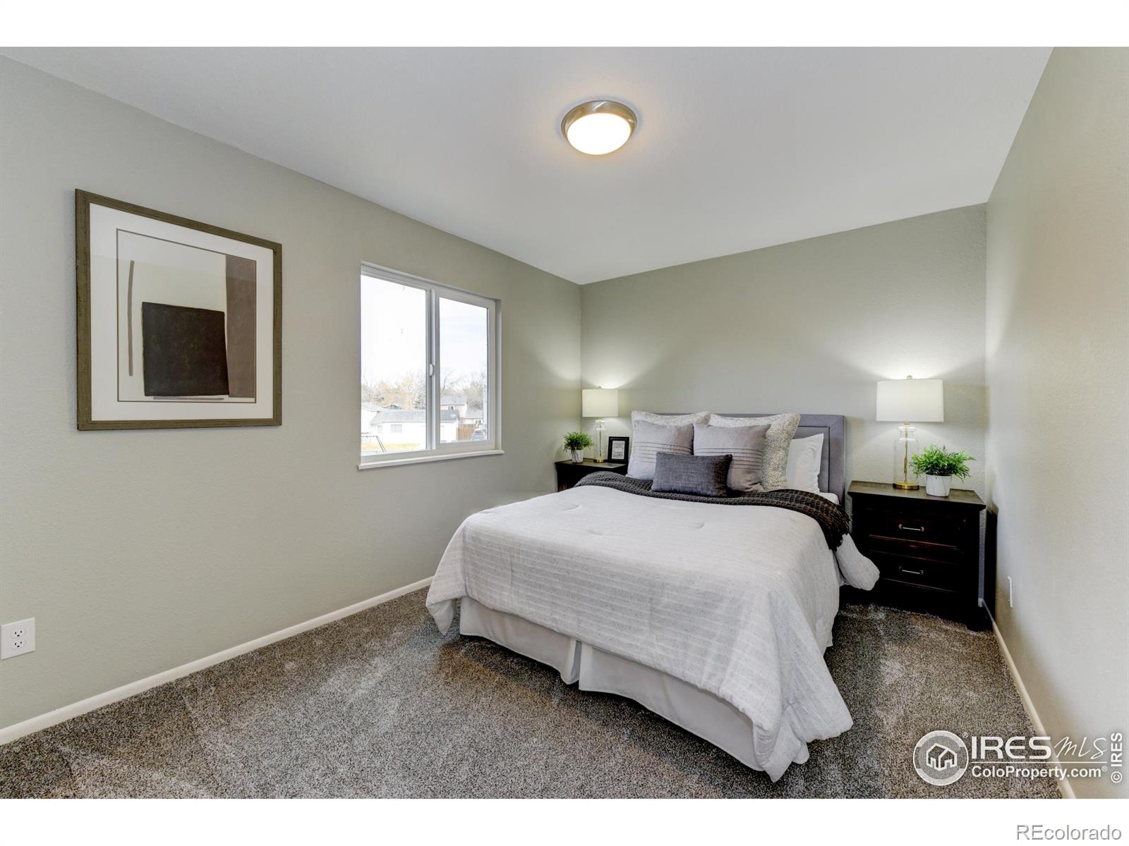 MLS Image #26 for 803  tracey parkway,fort collins, Colorado