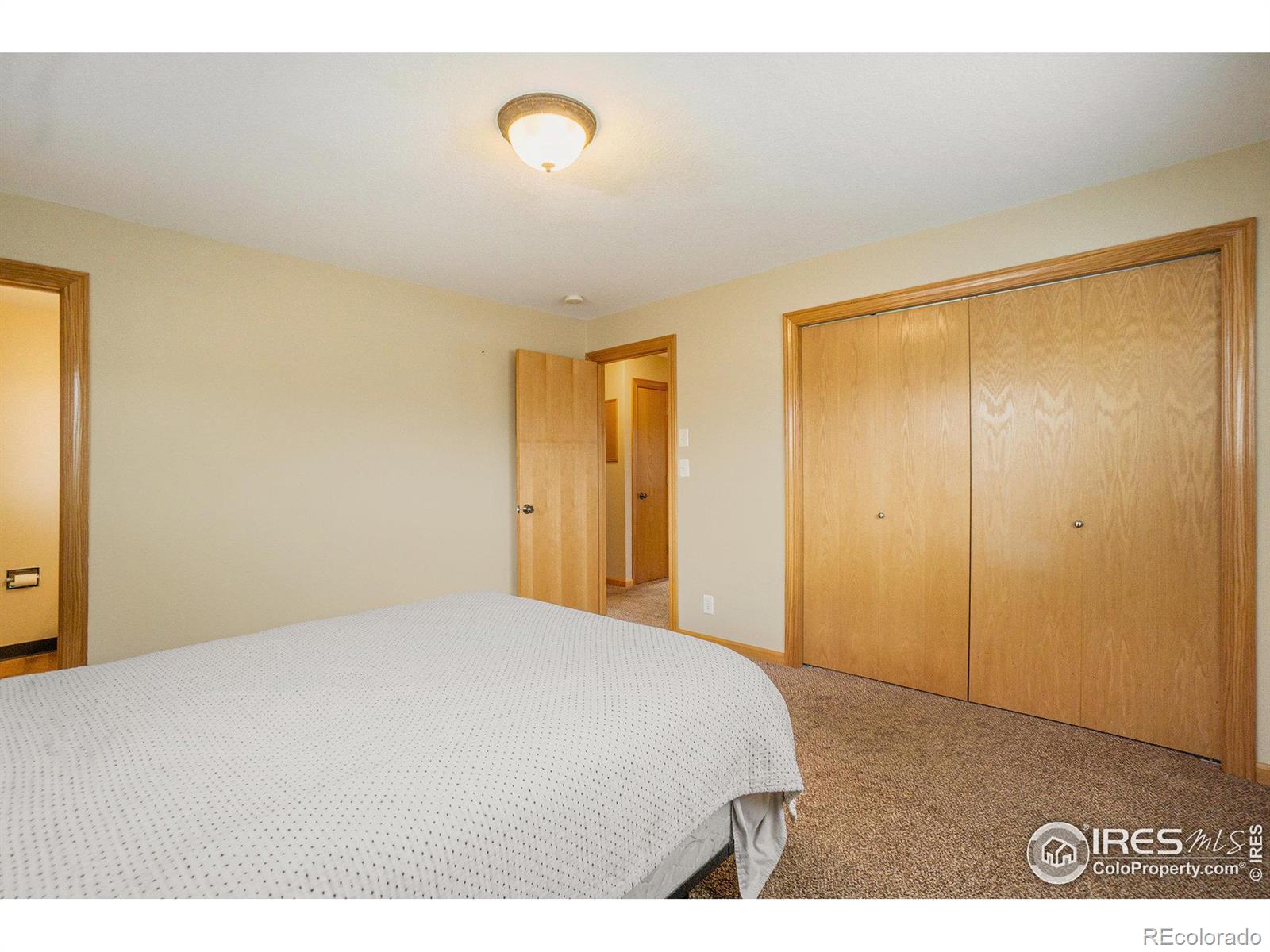 MLS Image #19 for 709 e 57th street,loveland, Colorado