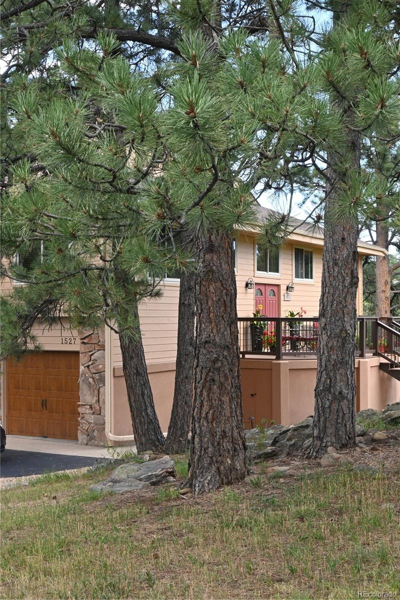 MLS Image #34 for 1527  shooting star drive,golden, Colorado