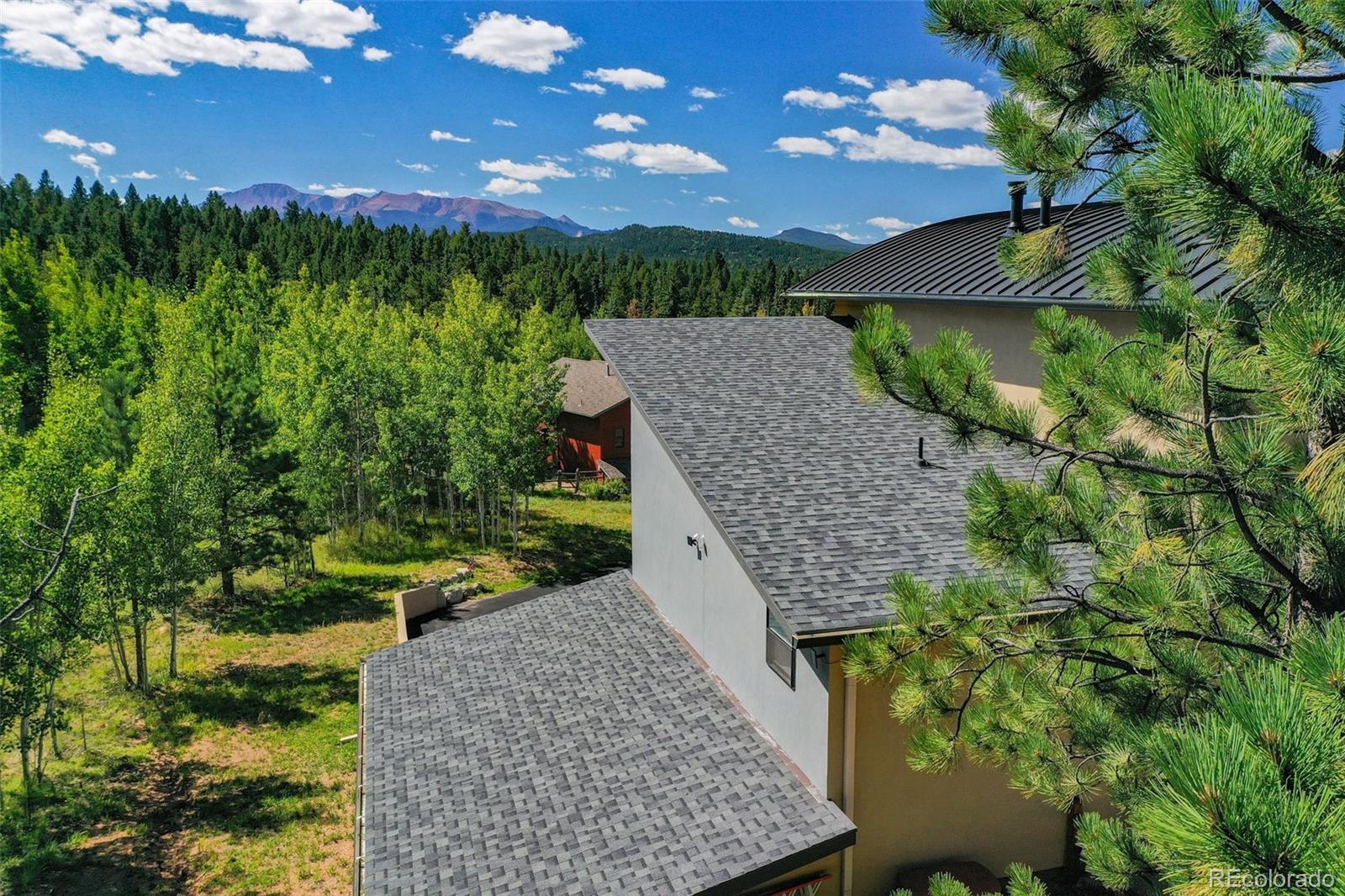 MLS Image #6 for 449  oxford lane,woodland park, Colorado