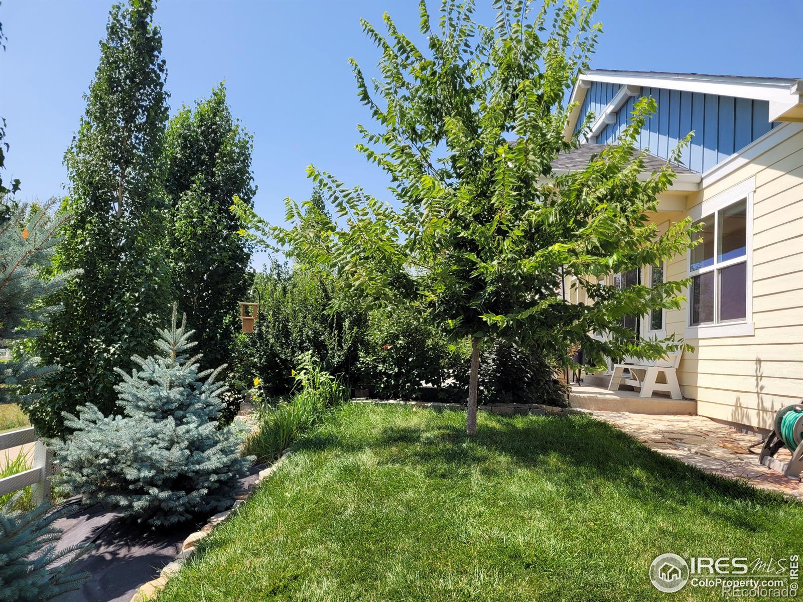 MLS Image #31 for 1309  leahy drive,fort collins, Colorado