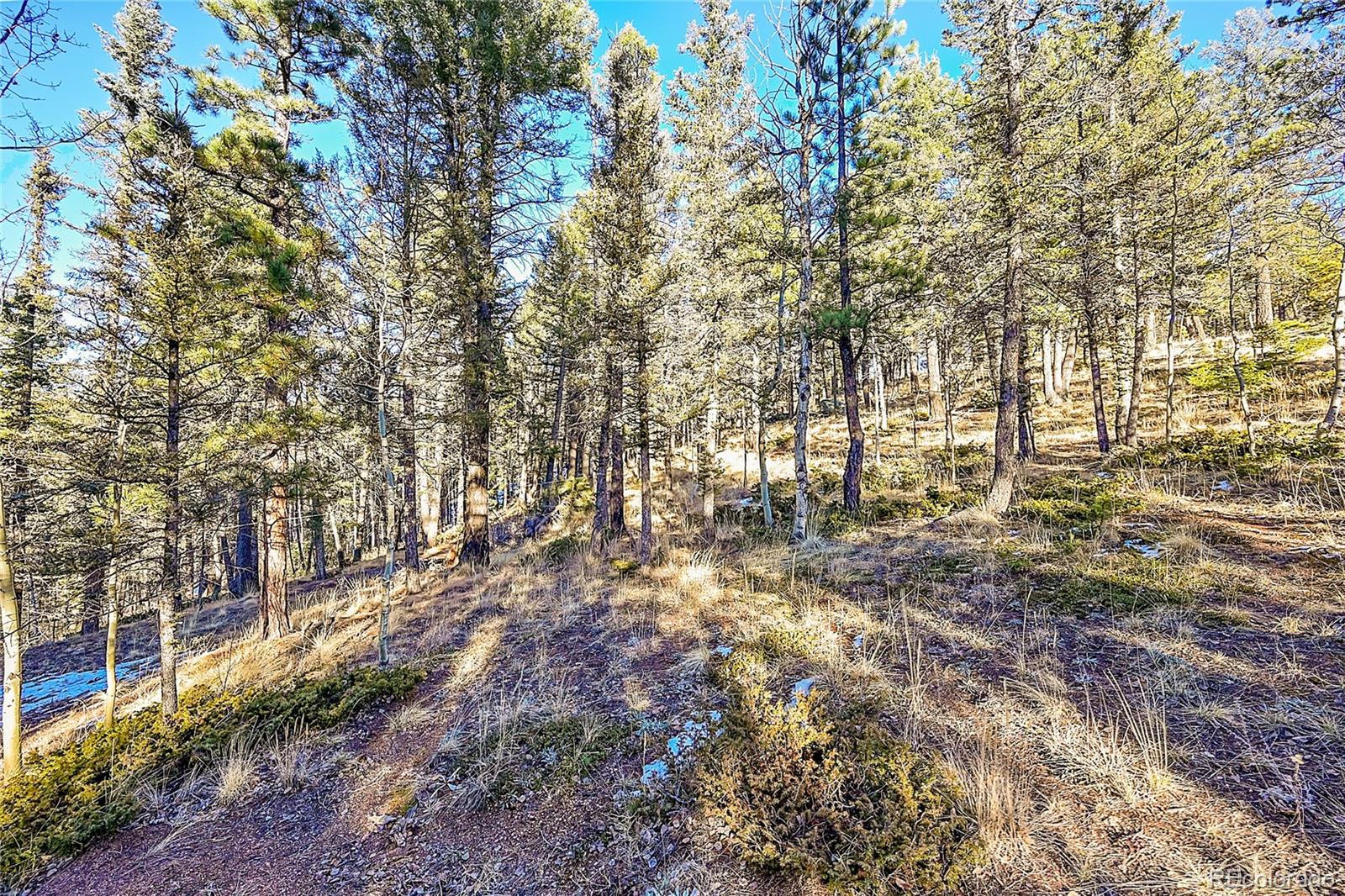 MLS Image #40 for 337  porphry road,florissant, Colorado