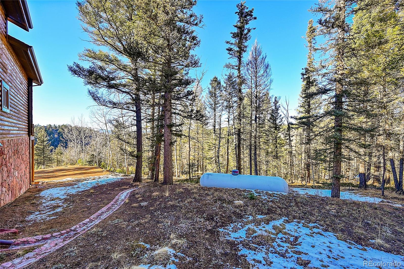 MLS Image #42 for 337  porphry road,florissant, Colorado