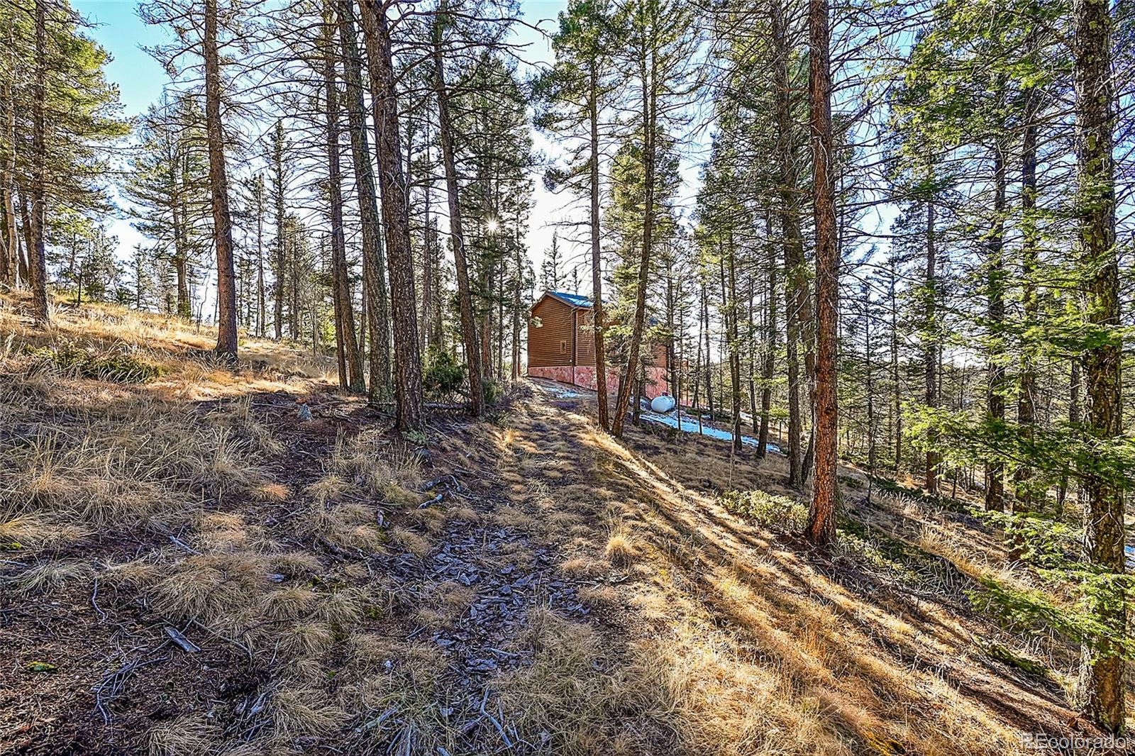 MLS Image #43 for 337  porphry road,florissant, Colorado