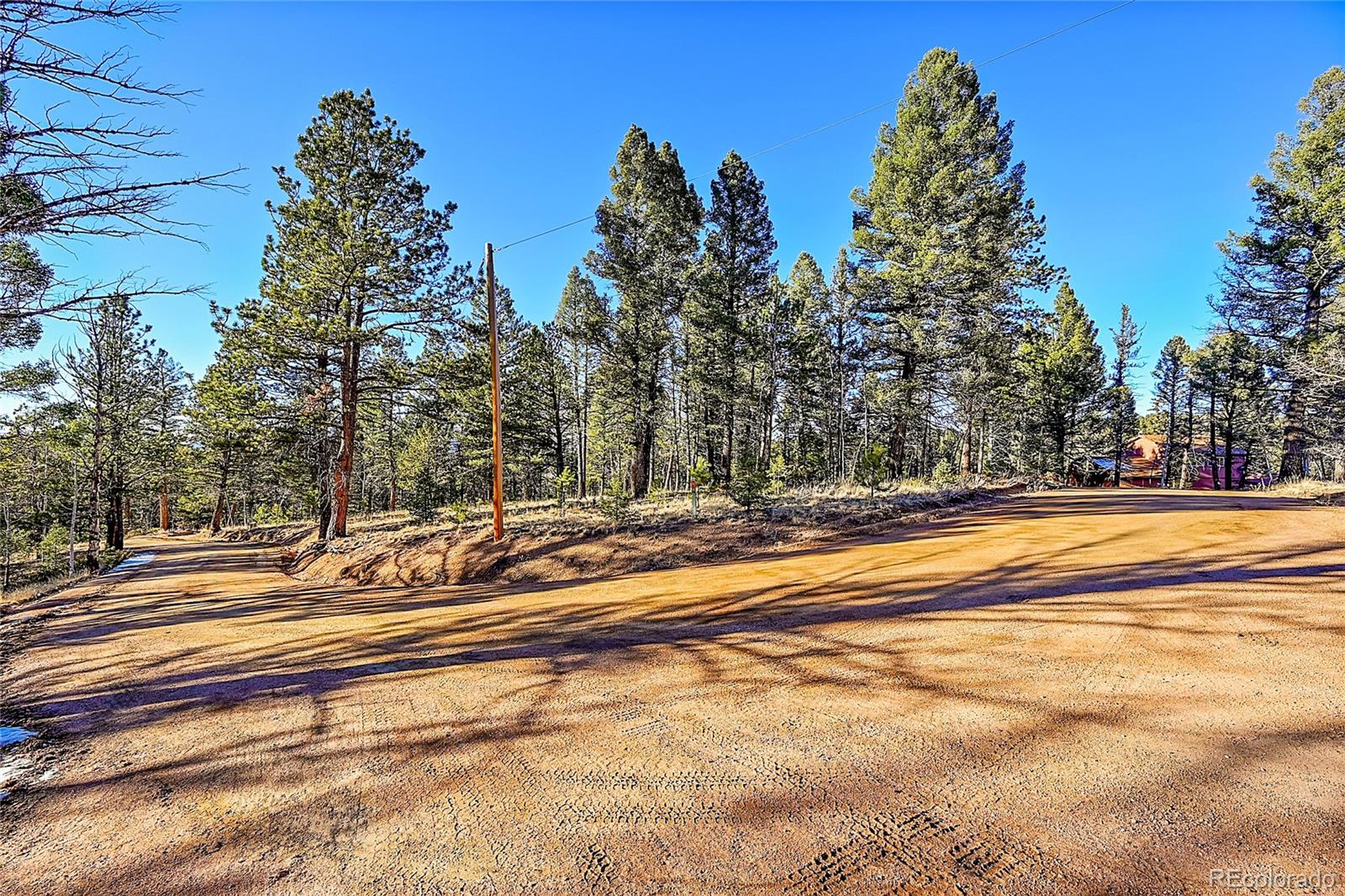 MLS Image #45 for 337  porphry road,florissant, Colorado