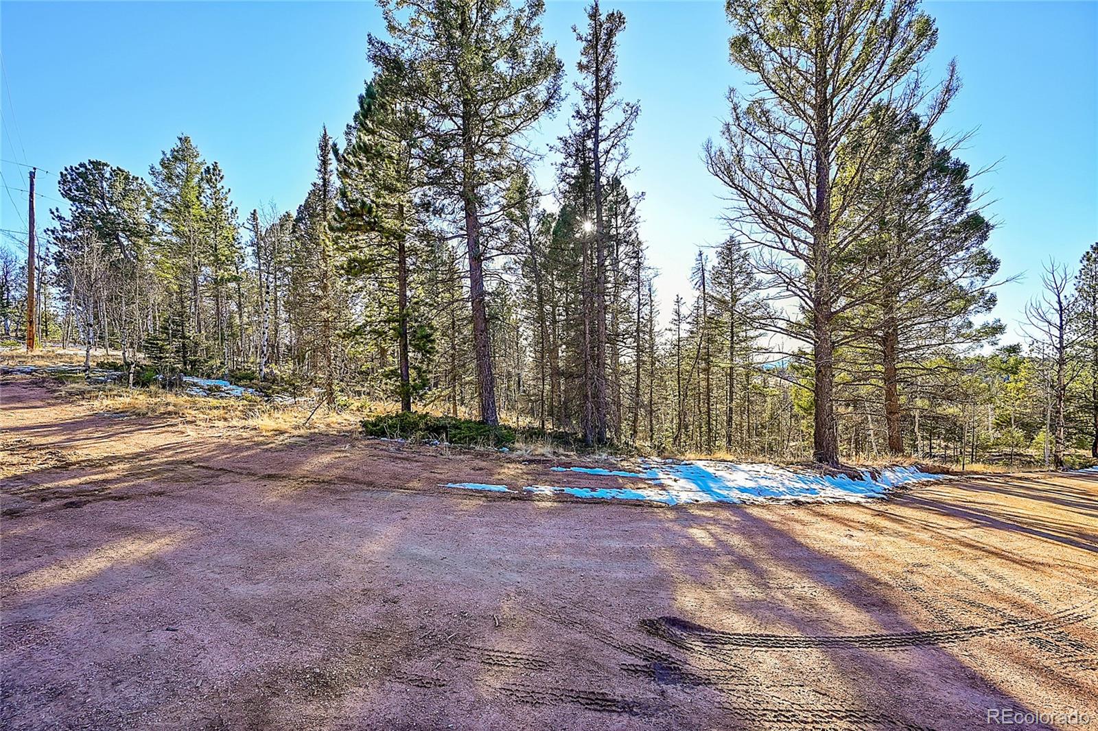 MLS Image #46 for 337  porphry road,florissant, Colorado