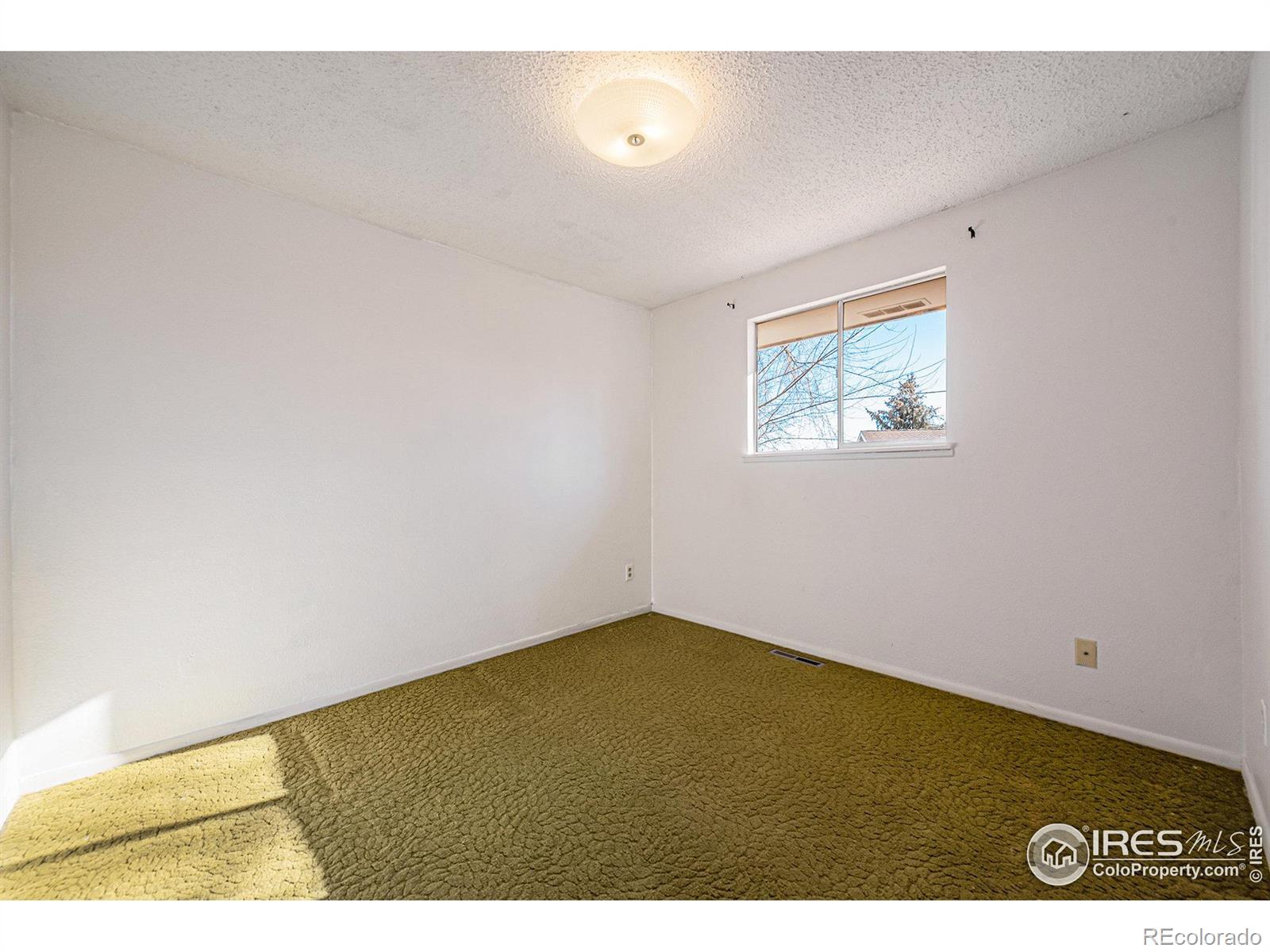 MLS Image #10 for 2405  evergreen drive,fort collins, Colorado