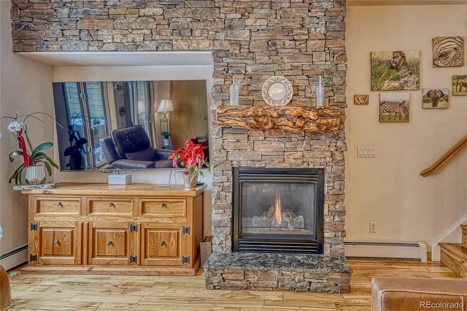 MLS Image #19 for 1510  point drive,frisco, Colorado