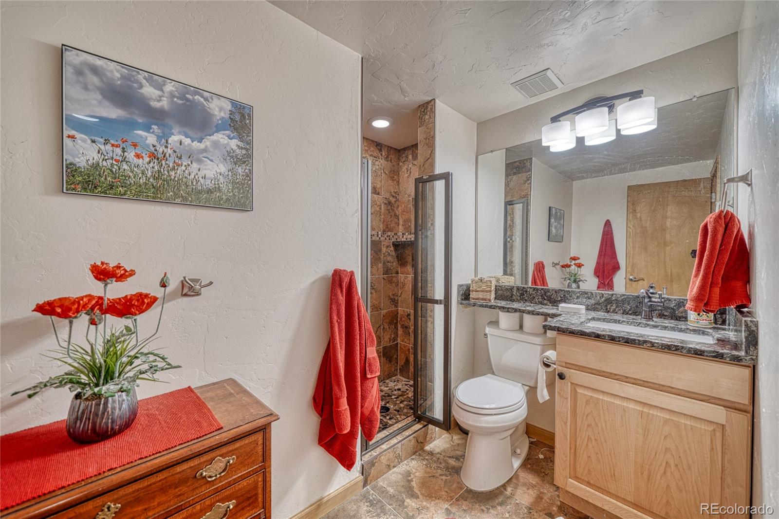 MLS Image #39 for 1510  point drive,frisco, Colorado