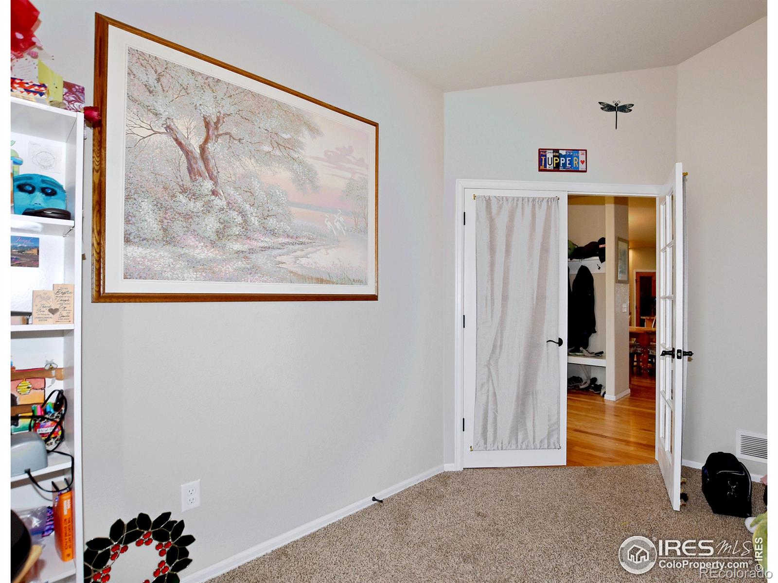 MLS Image #12 for 238  mt harvard avenue,severance, Colorado