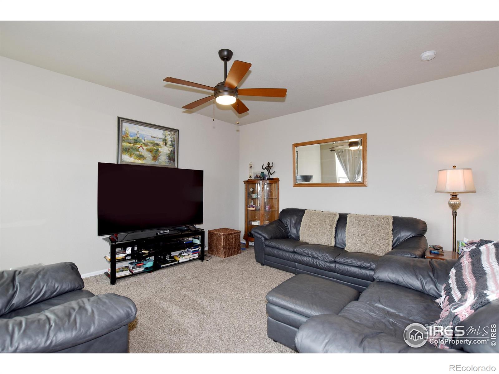 MLS Image #3 for 238  mt harvard avenue,severance, Colorado