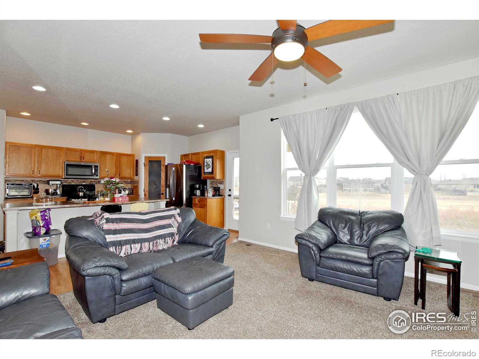 MLS Image #5 for 238  mt harvard avenue,severance, Colorado