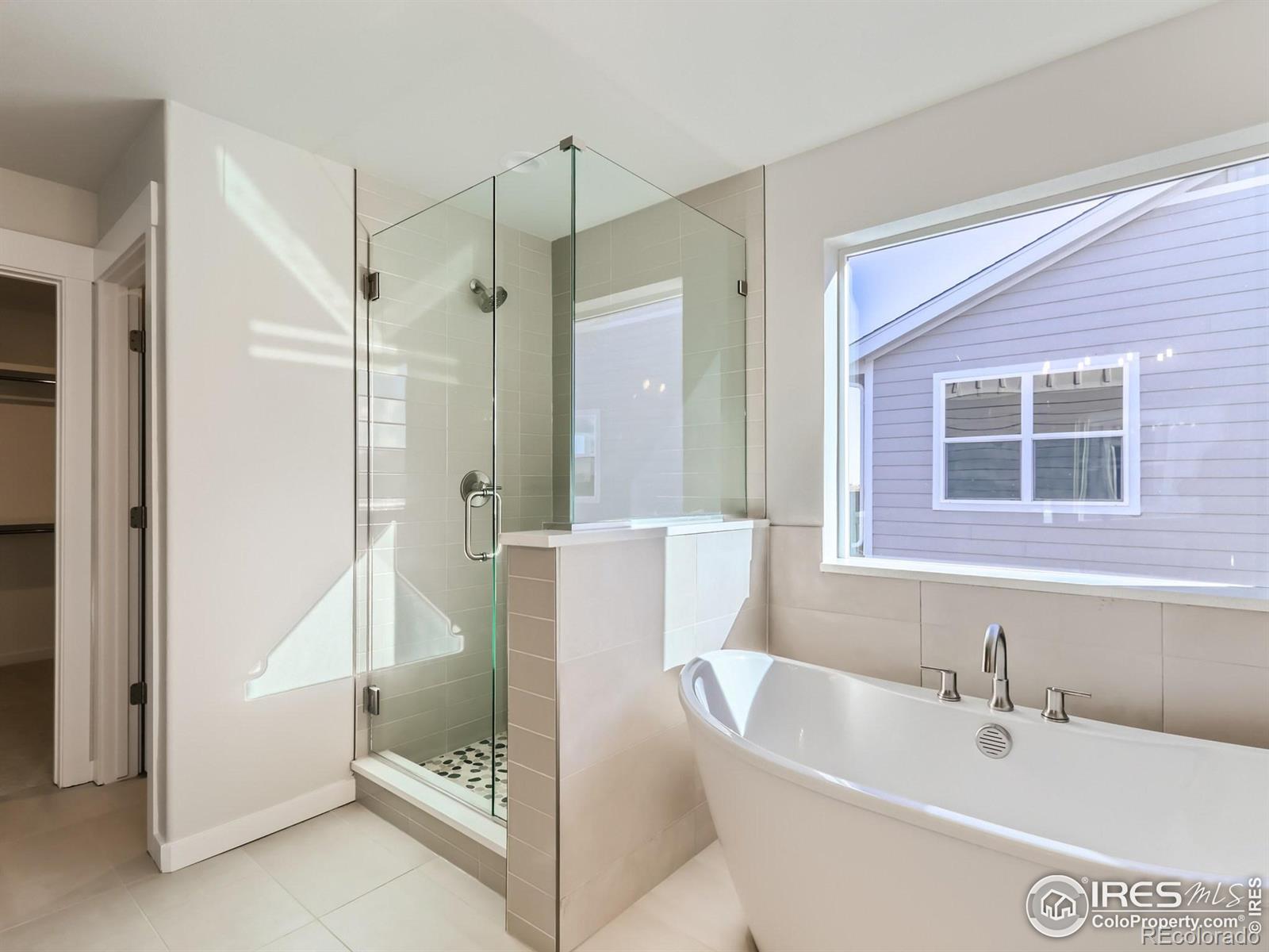 MLS Image #17 for 1848  golden sun drive,windsor, Colorado