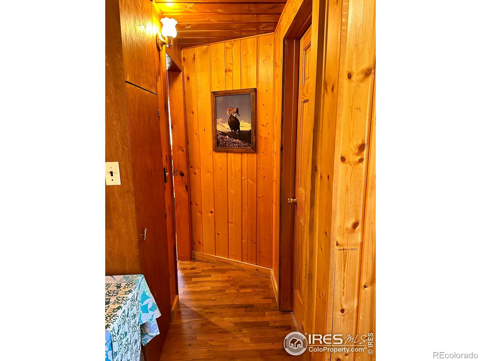 MLS Image #11 for 31626  poudre canyon road,bellvue, Colorado