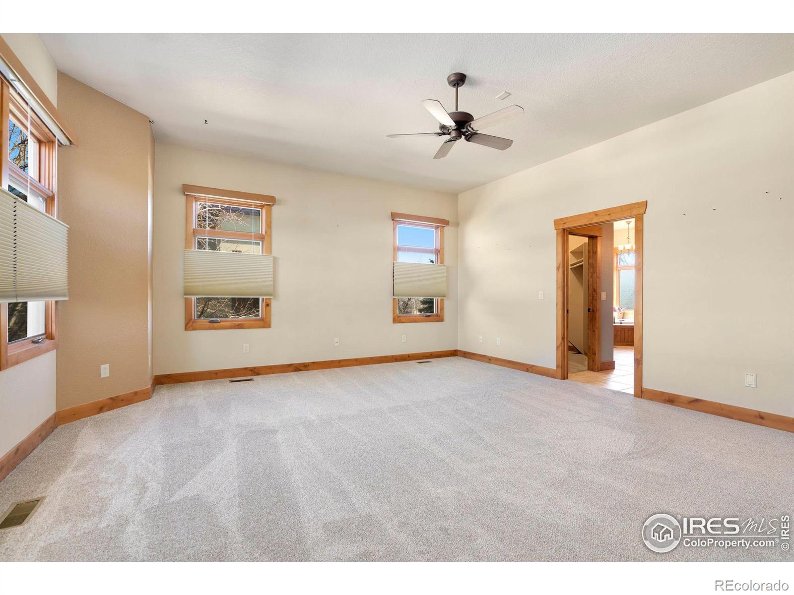 MLS Image #12 for 895  deer meadow drive,loveland, Colorado