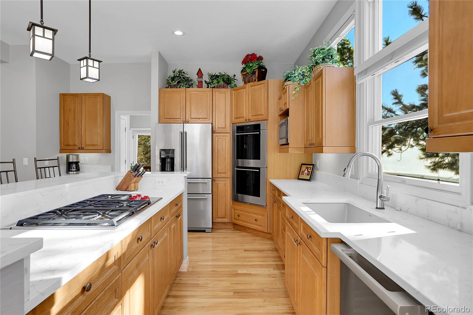 MLS Image #16 for 1131  forest trails drive,castle pines, Colorado