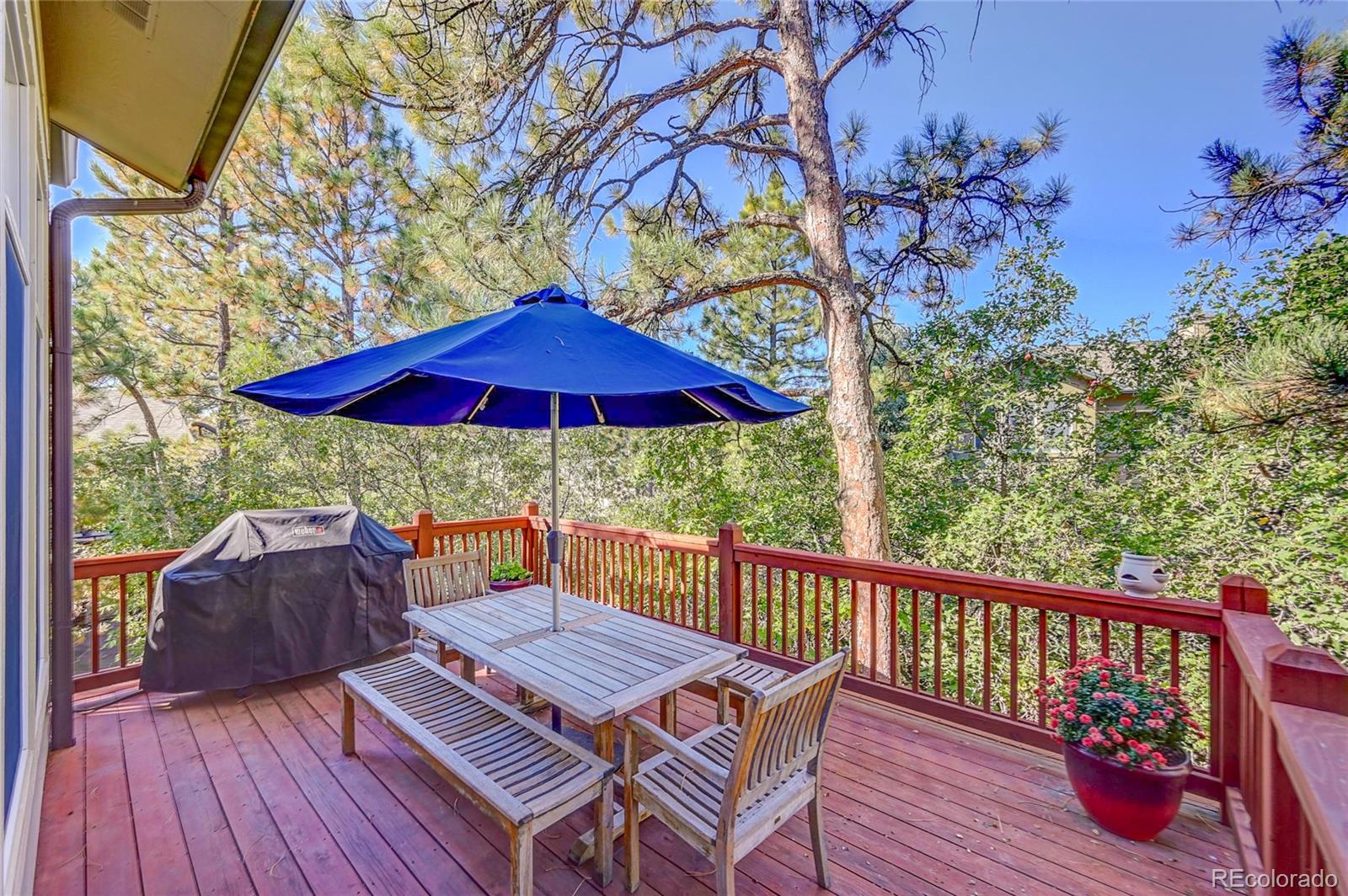 MLS Image #40 for 1131  forest trails drive,castle pines, Colorado