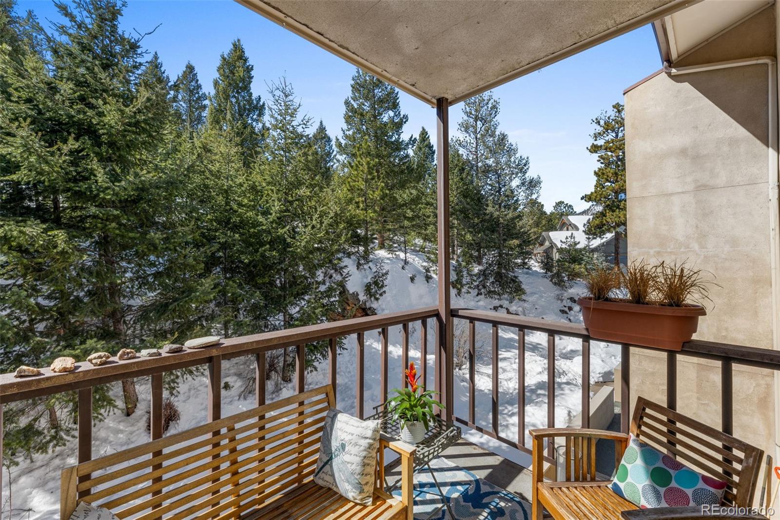 MLS Image #20 for 31270  john wallace road,evergreen, Colorado