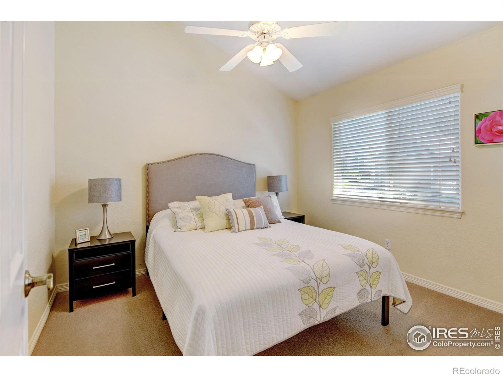 MLS Image #25 for 1384  castlepoint circle,castle pines, Colorado