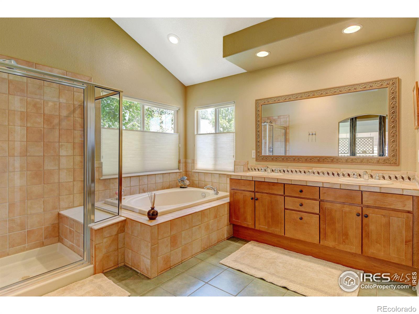 MLS Image #26 for 1384  castlepoint circle,castle pines, Colorado