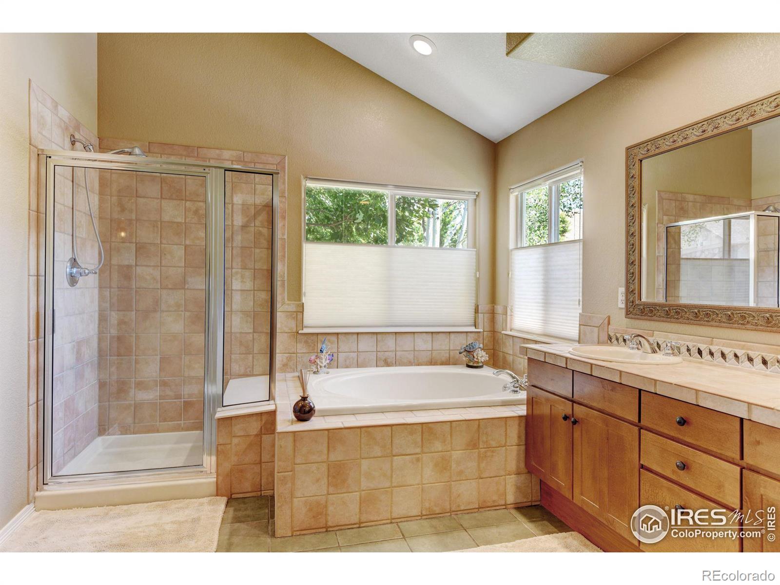 MLS Image #28 for 1384  castlepoint circle,castle pines, Colorado