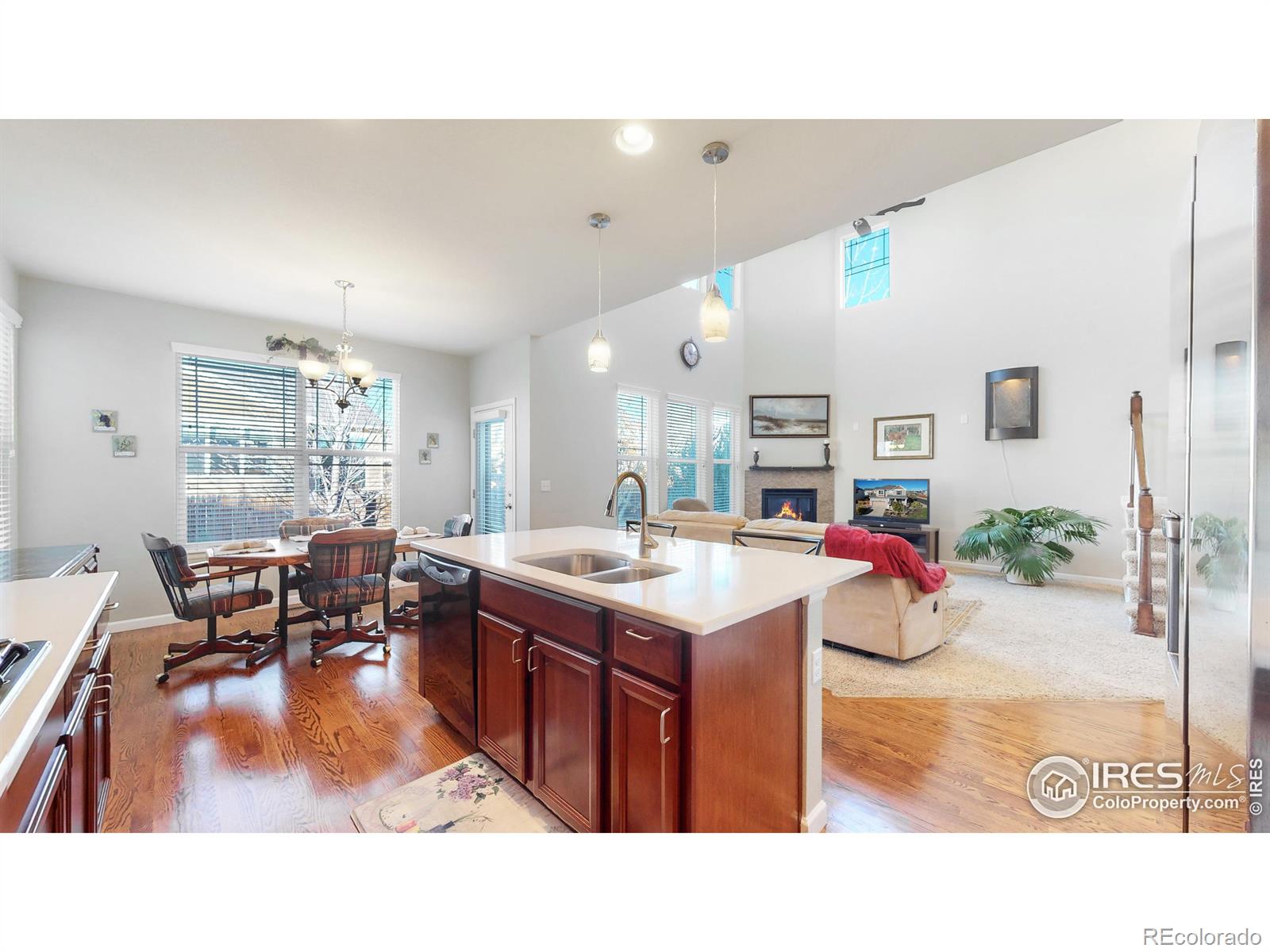 MLS Image #10 for 3925  horiuchi street,brighton, Colorado