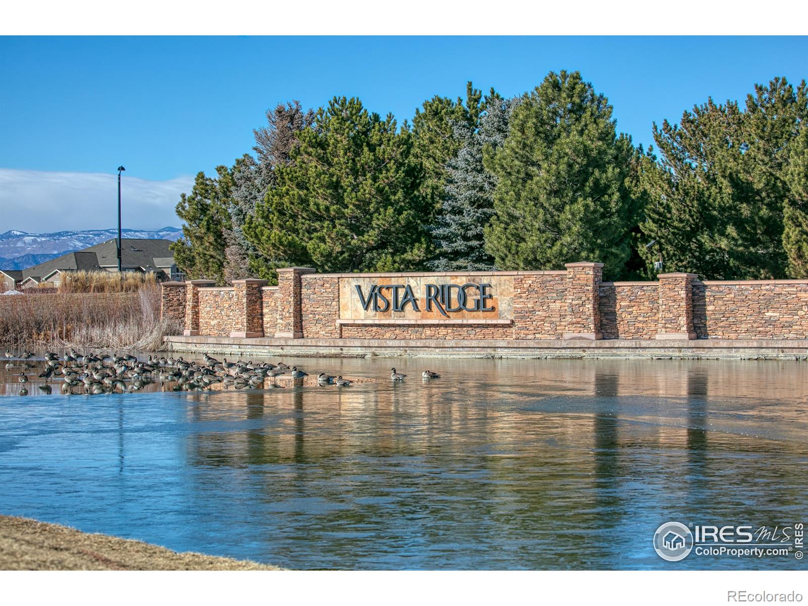 MLS Image #24 for 3045  blue sky circle 306,erie, Colorado