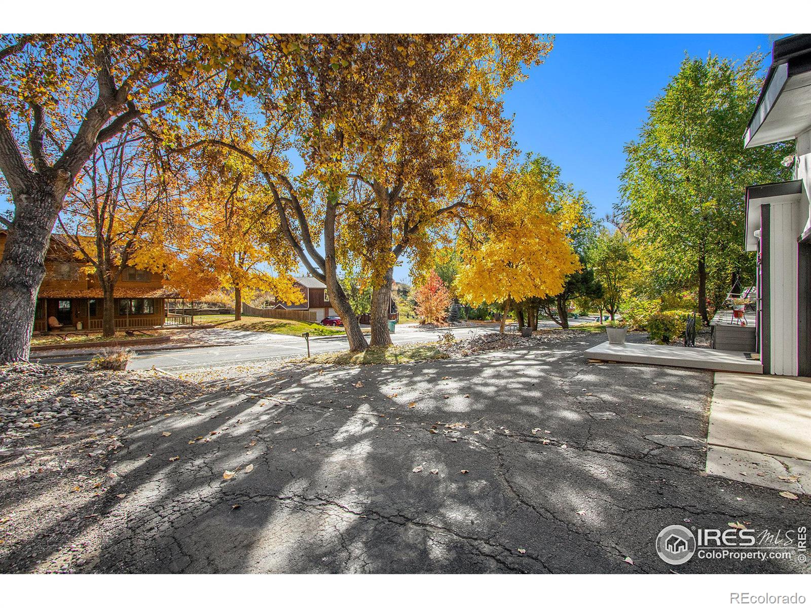 MLS Image #19 for 1605  morning drive,loveland, Colorado